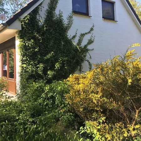 Ferienhaus-sokollek *